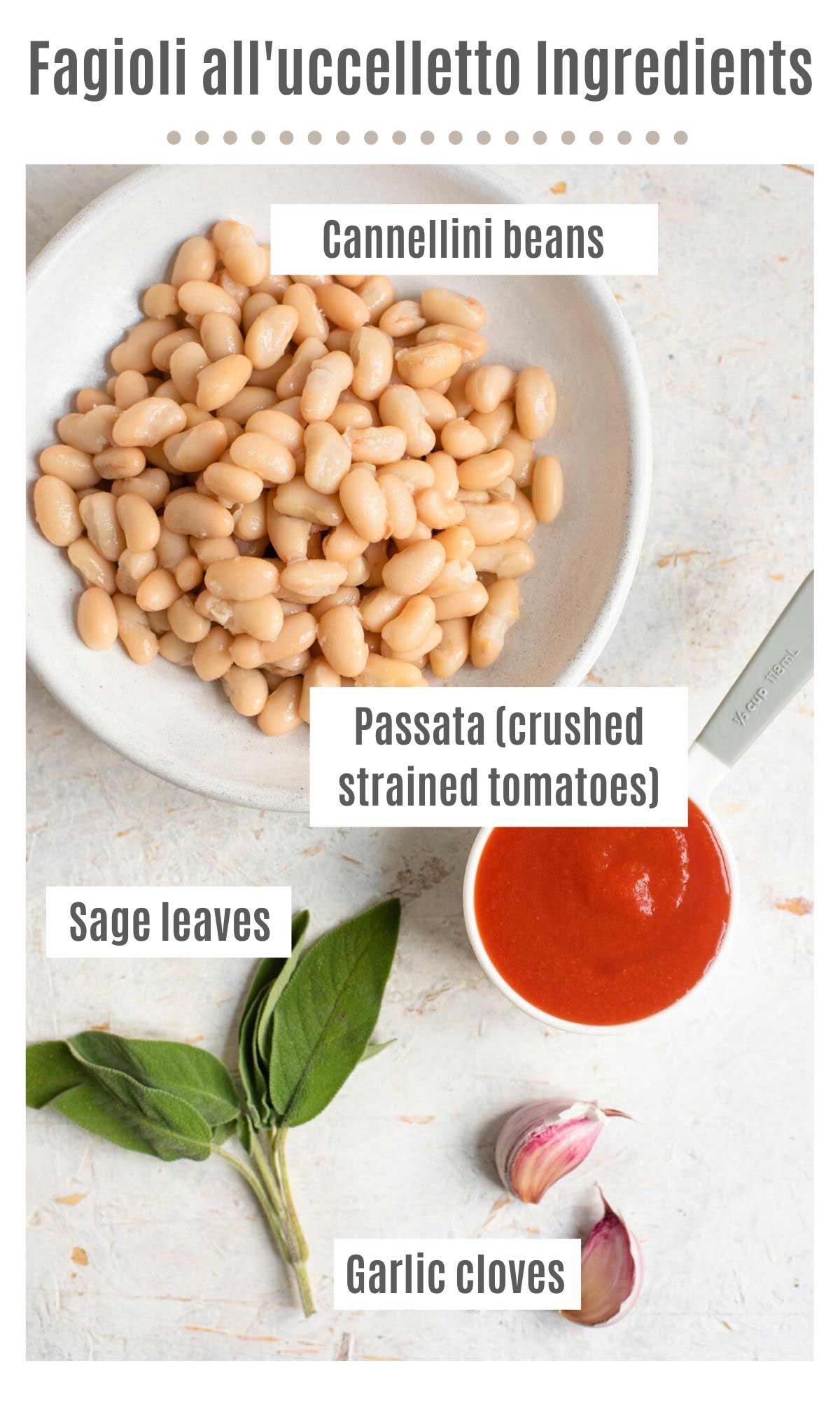 An overhead shot of all the ingredients you need to make fagioli all'uccelletto