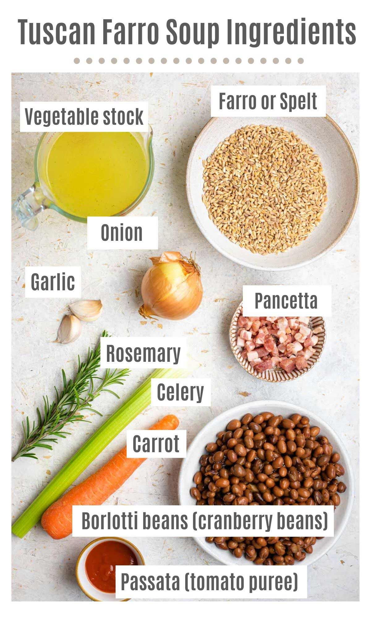 An overhead shot of all the ingredients you need to make Tuscan farro soup