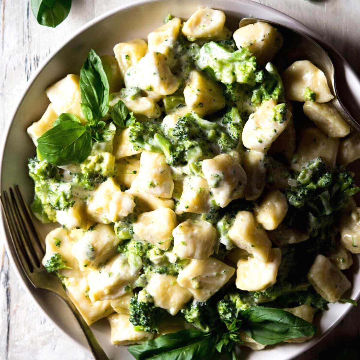 Homemade ricotta gnocchi broccoli cream sauce-image