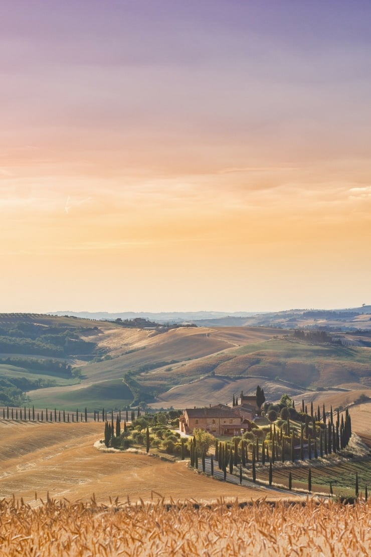 A photo of the Tuscan countryside, an old rustic farmhouse with cypress trees surrounding it