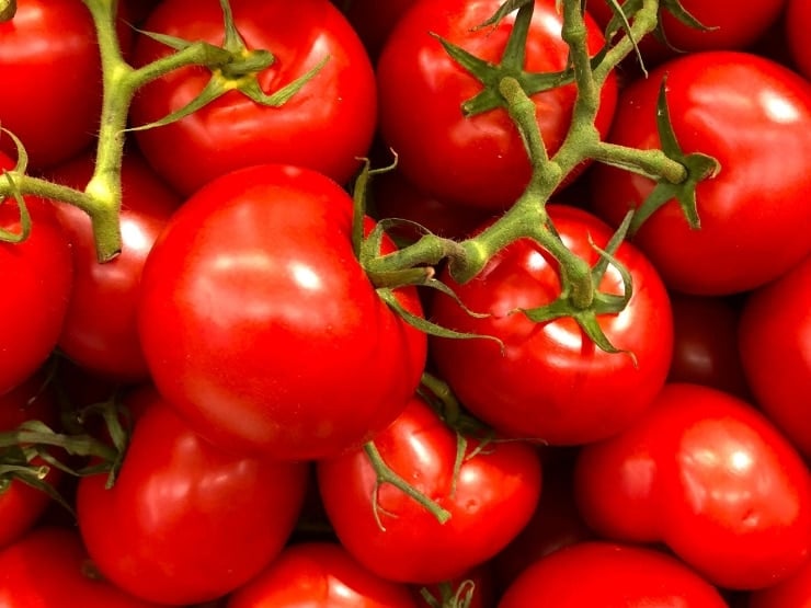 A close up of tomatoes
