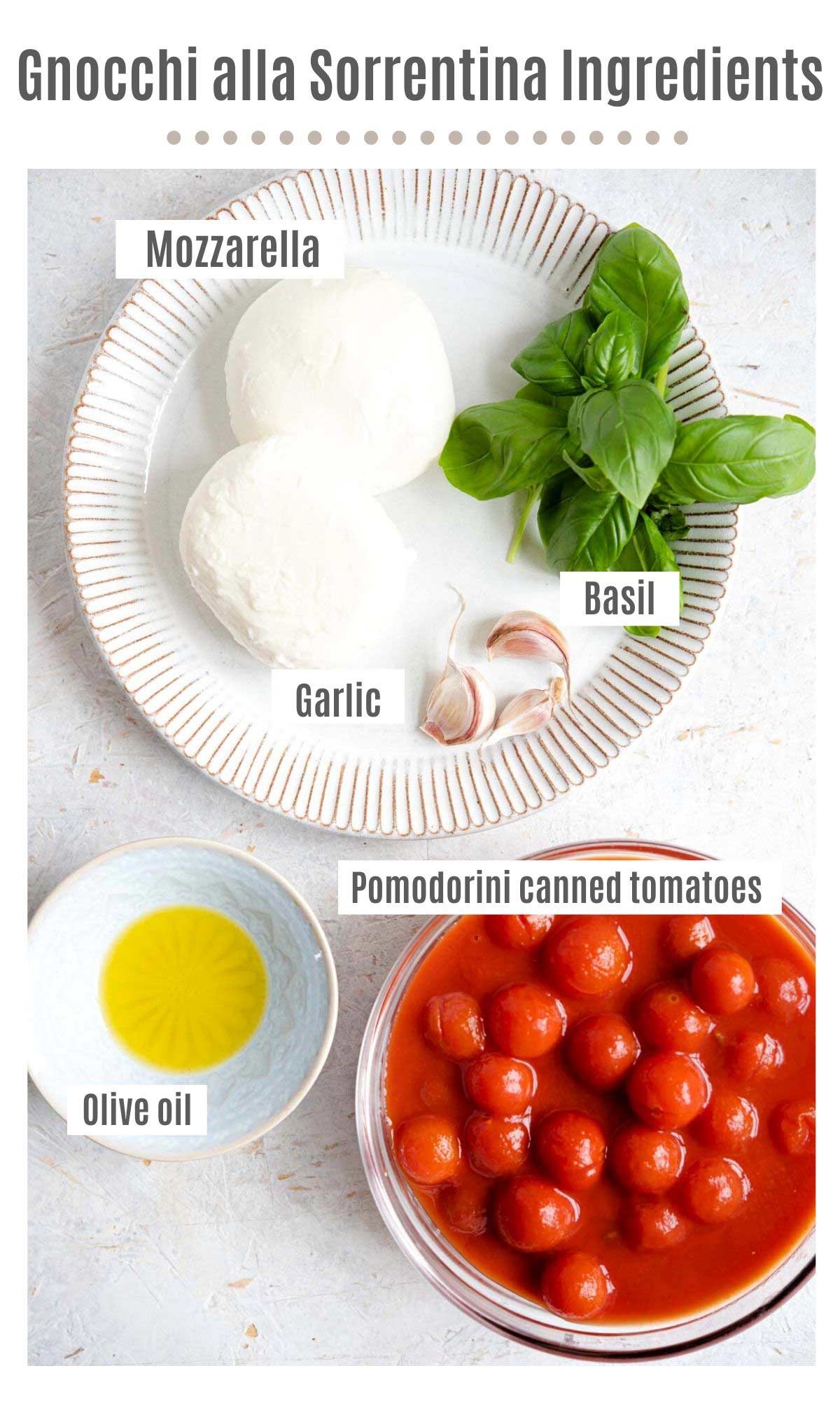 An overhead shot of all the ingredients needed to make gnocchi alla sorrentina