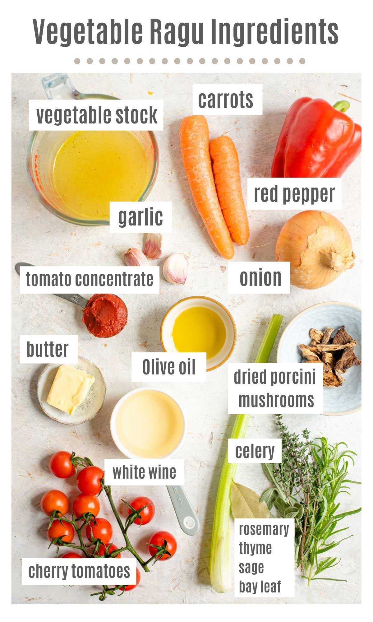 An overhead shot of all the ingredients you need to make vegetable ragu