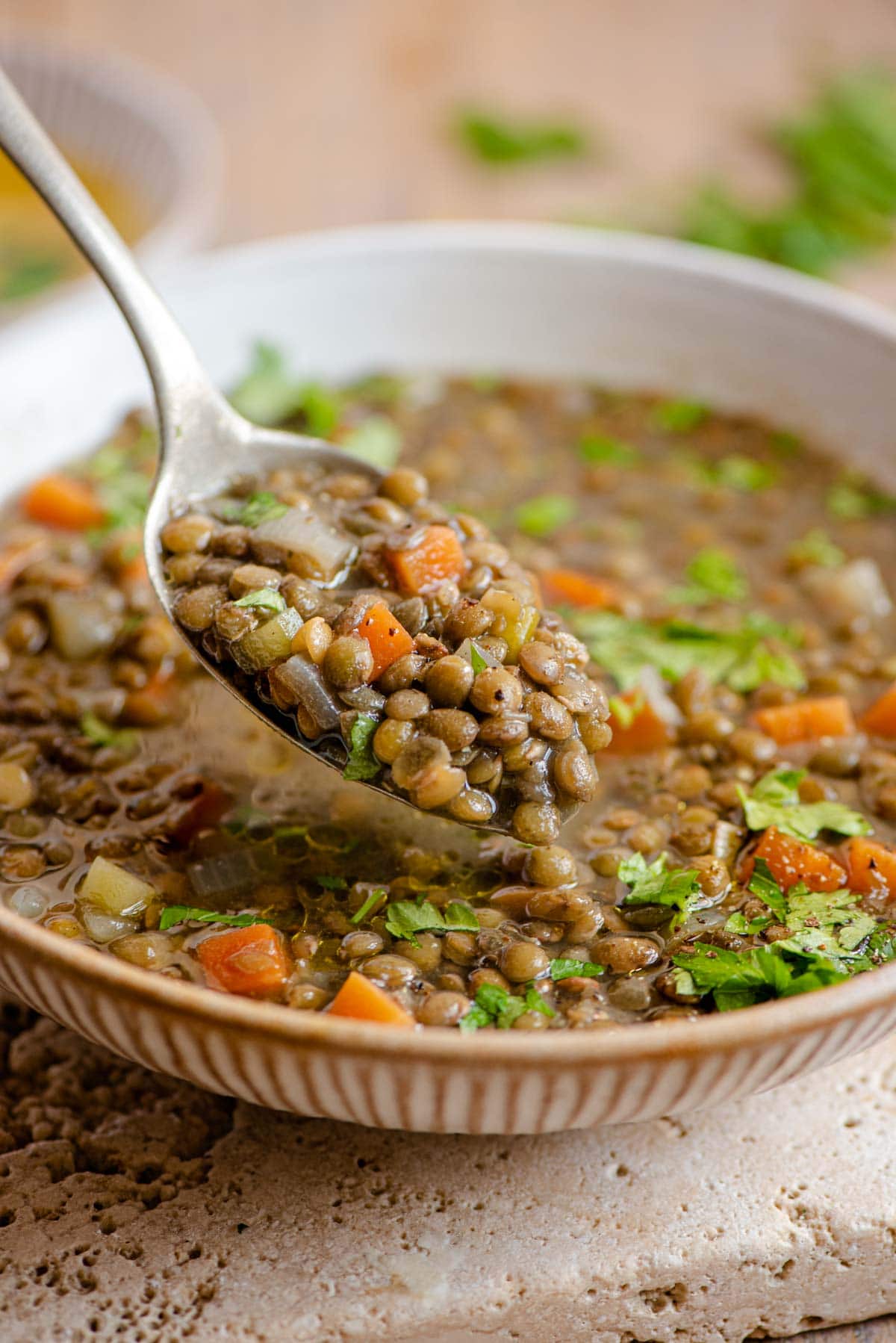 A close up of a spoonful of lentil soup