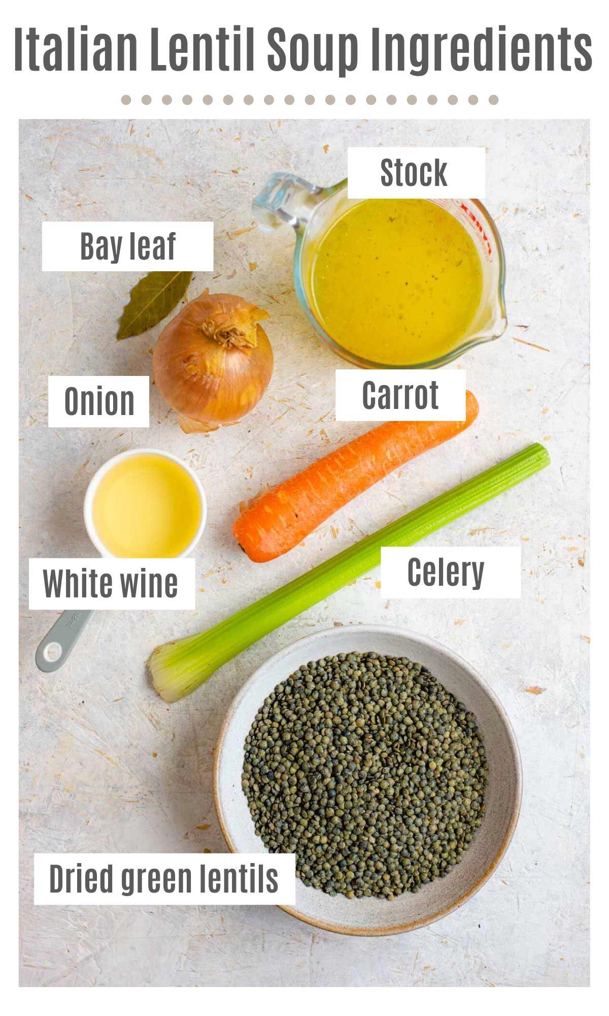 An overhead shot of all the ingredients you need to make Italian lentil soup