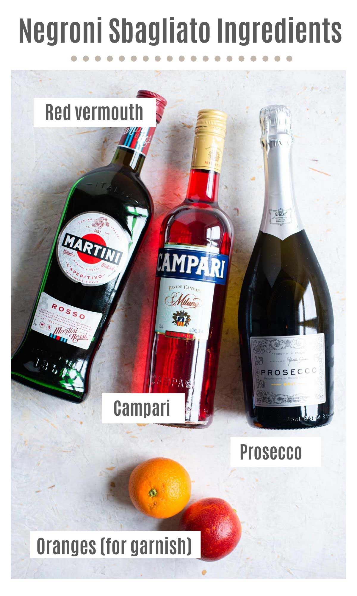 An overhead shot of all the ingredients you need to make a Negroni Sbagliato