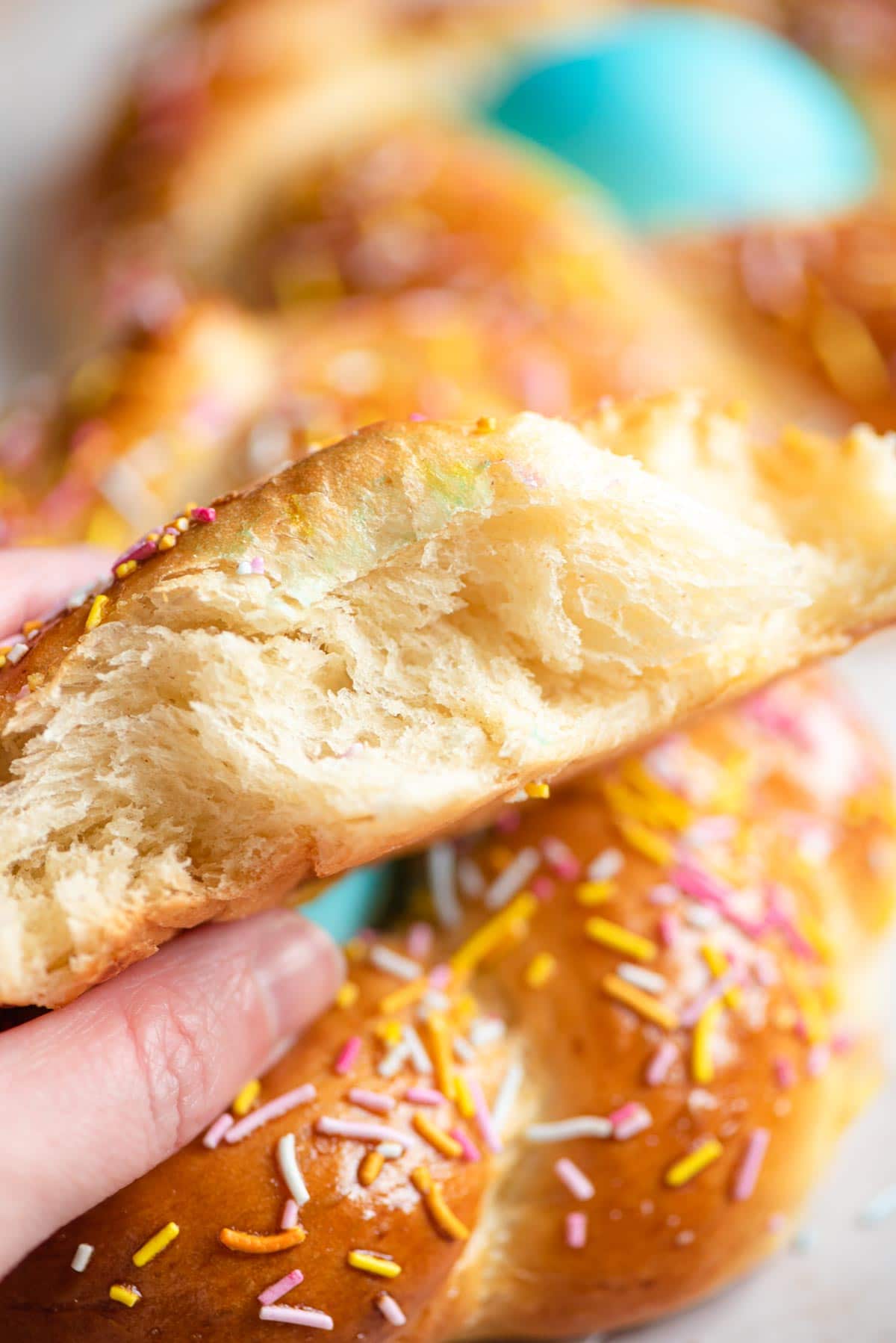 A close up of the inside of Italian Easter bread
