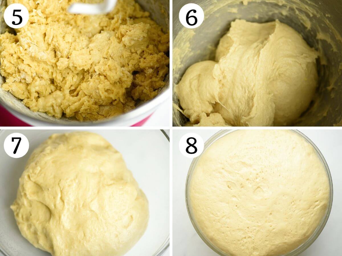 Step by step photos showing how to prepare Italian Easter bread dough in a stand mixer