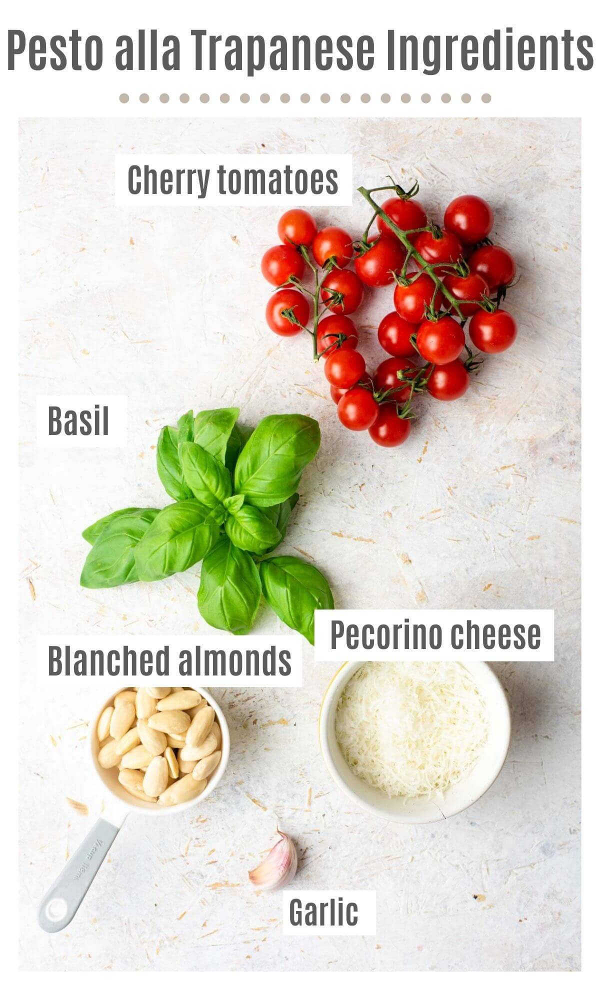 An overhead shot of all the ingredients you need to make pesto alla trapanese