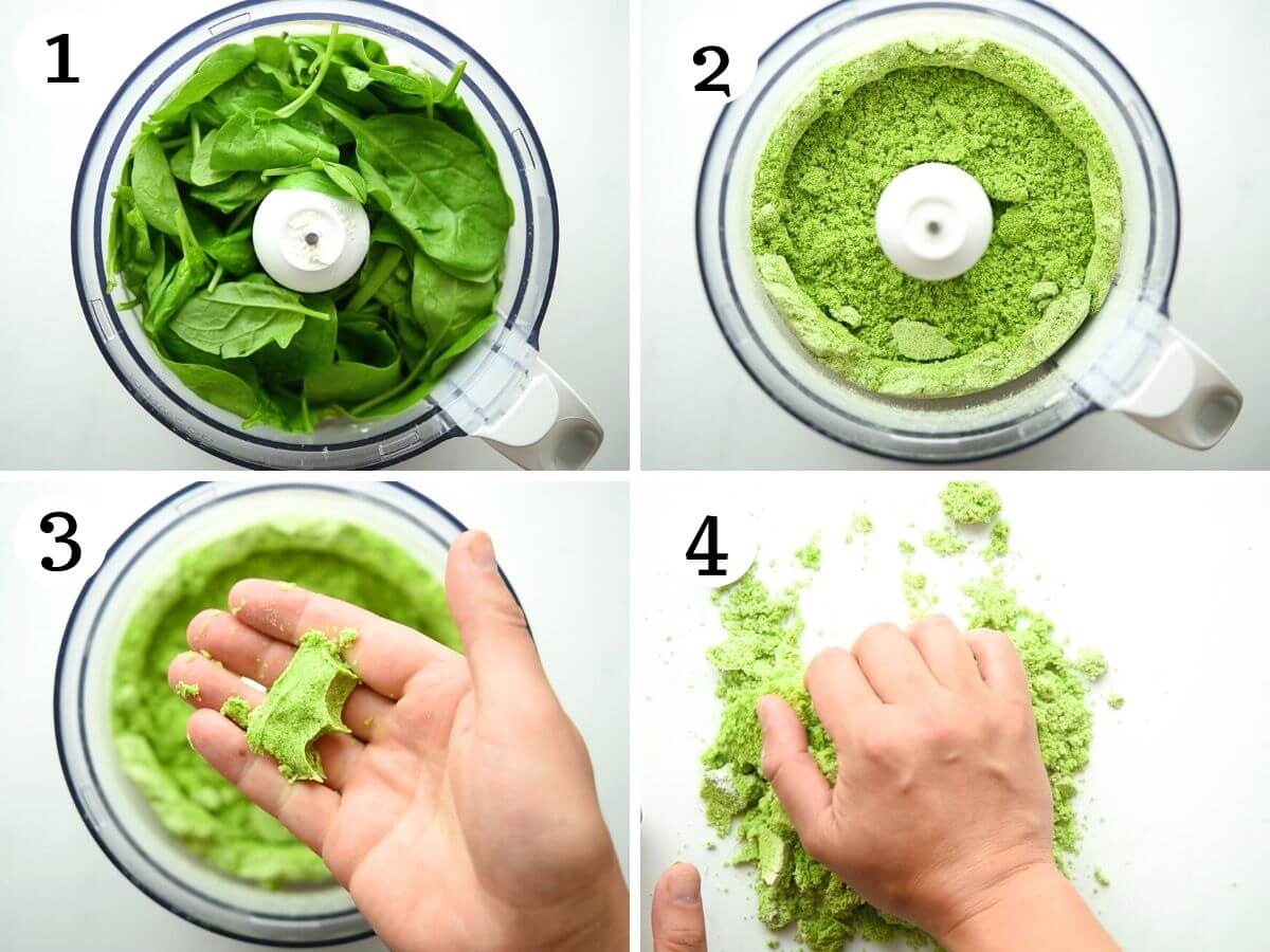 Step by step photos showing how to make spinach pasta dough in a food processor