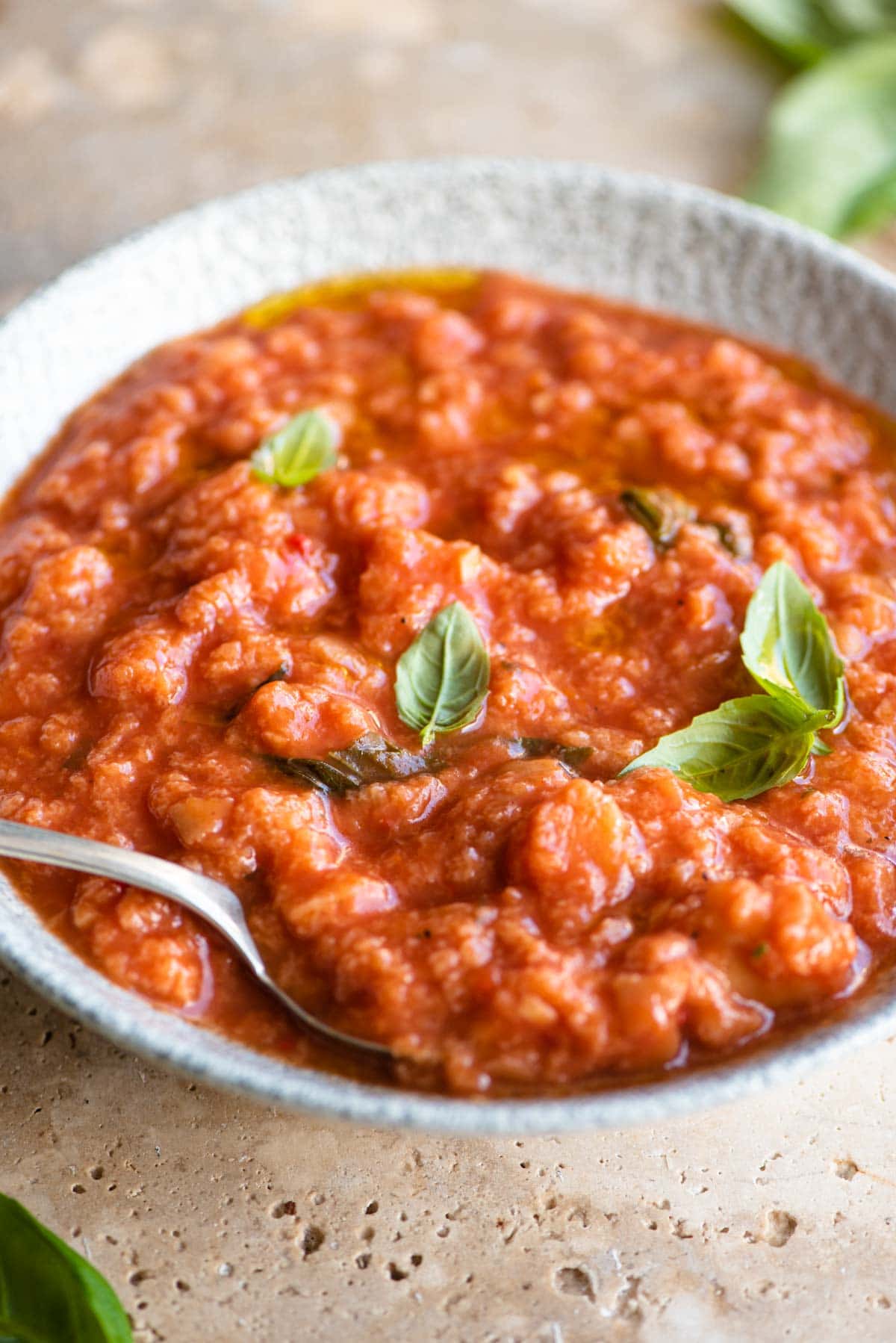 A close up of Pappa al Pomodoro in a bowl