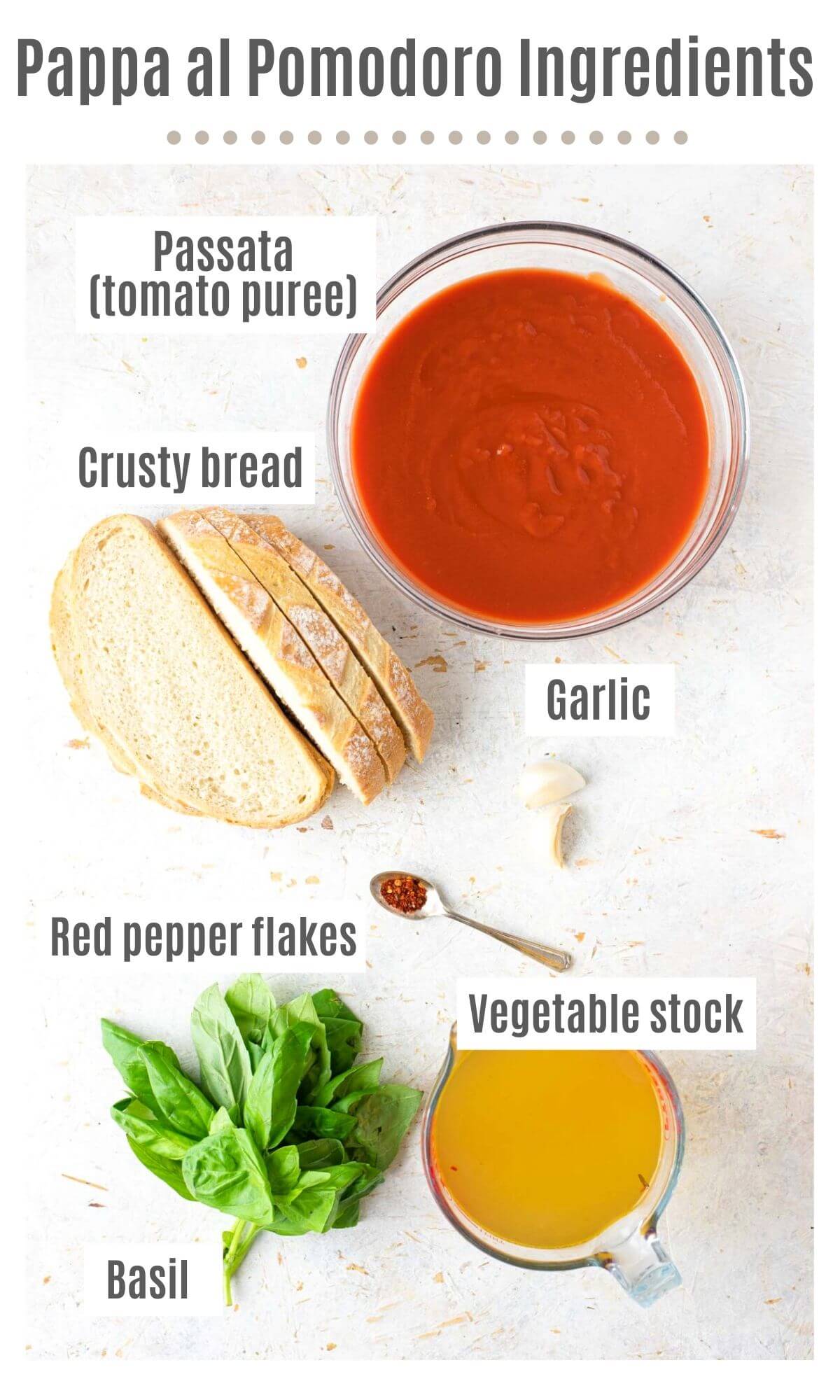 An overhead shot of all the ingredients you need to make pappa al pomodoro