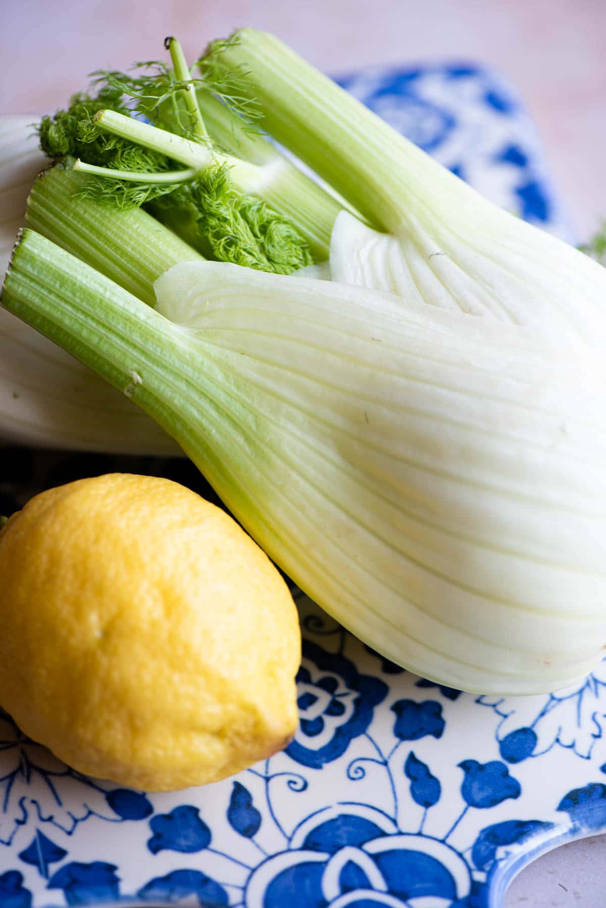 A close up of a fennel bulb and whole lemon