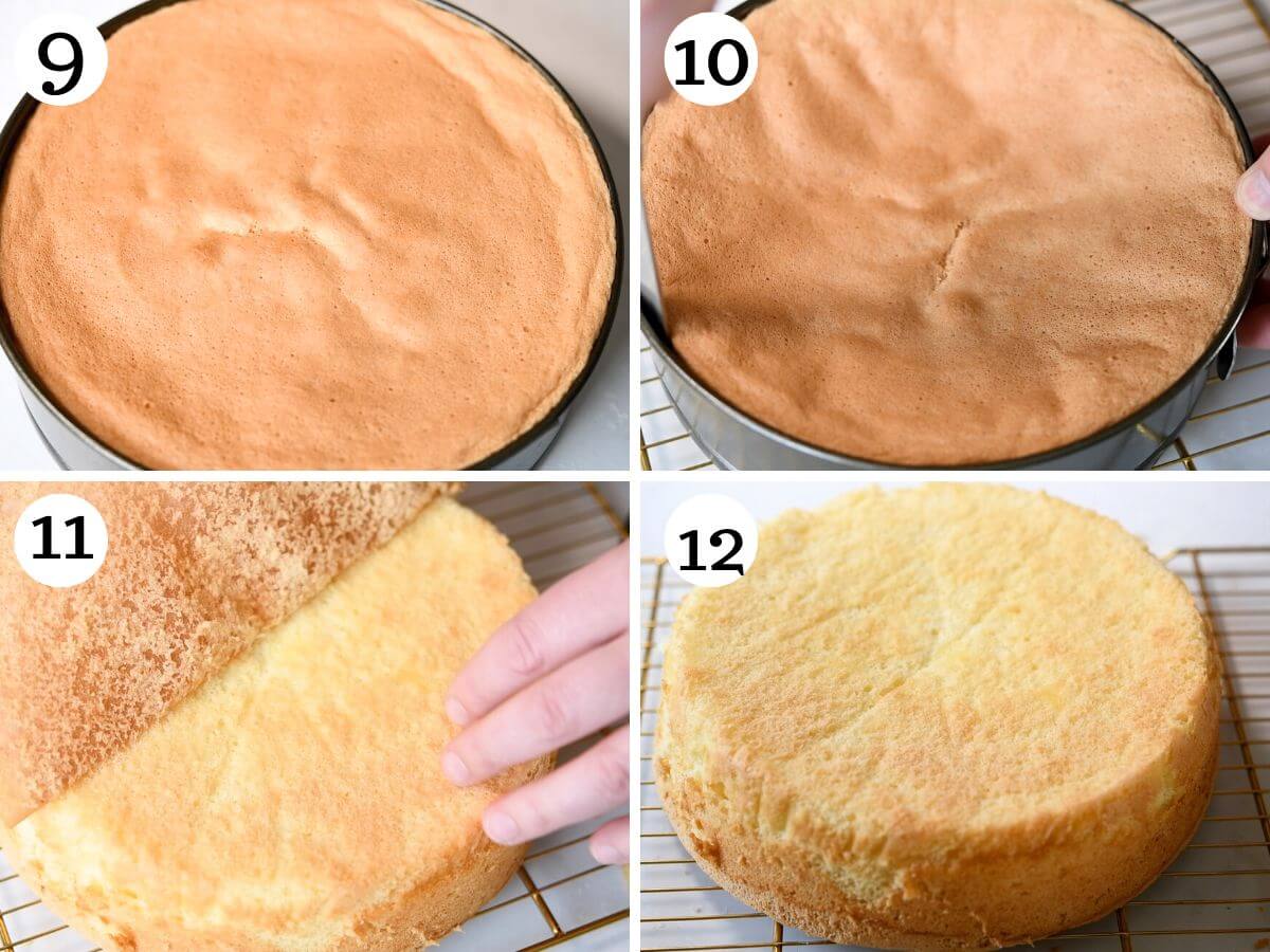 Four photos in a collage showing what Pan di Spagna looks like once baked.