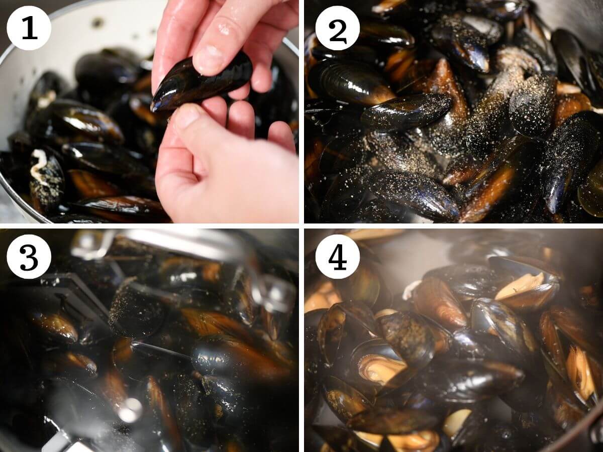 Four photos in a collage showing how to make Italian peppered mussels.