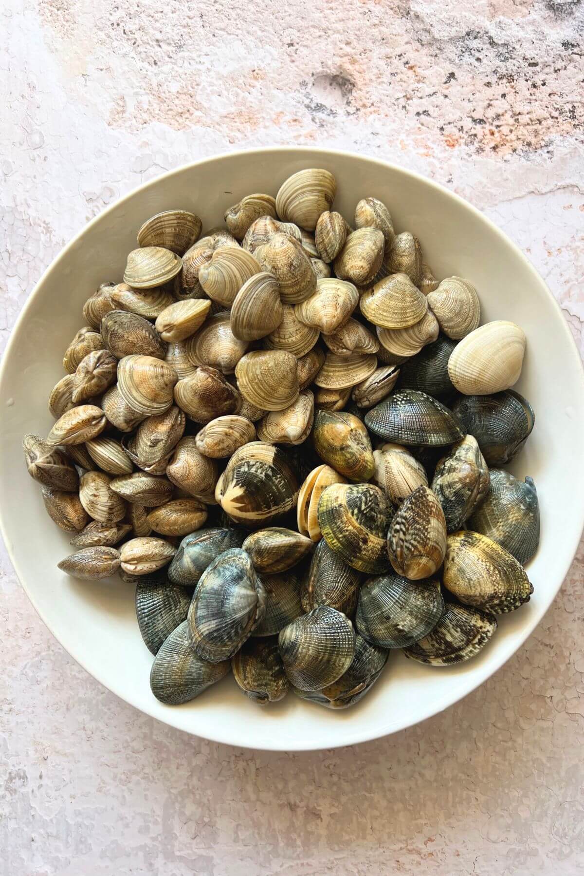 An overhead shot of a bowl of two different types of clams; Vongole Veraci and Vongole Lupini.