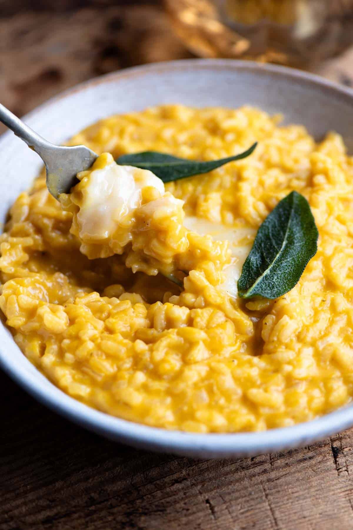 A side shot of a pumpkin risotto on a fork with oozy Taleggio cheese and crispy sage.