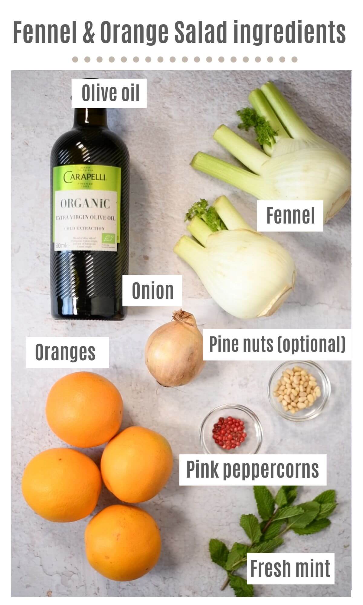 An overhead shot of all the ingredients you need to make a fennel and orange salad.