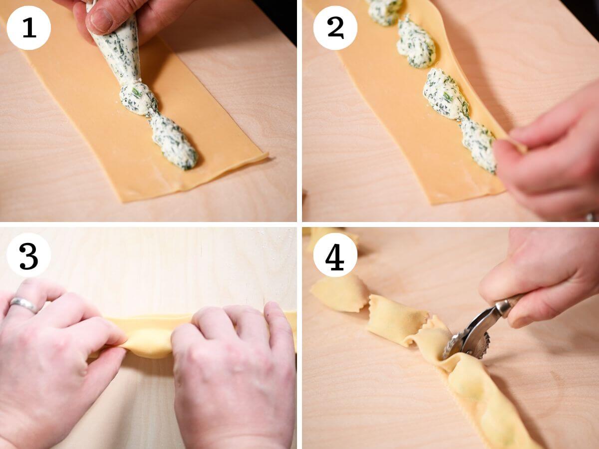 Four photos in a collage showing how to pipe the filling for Agnolotti in sections.