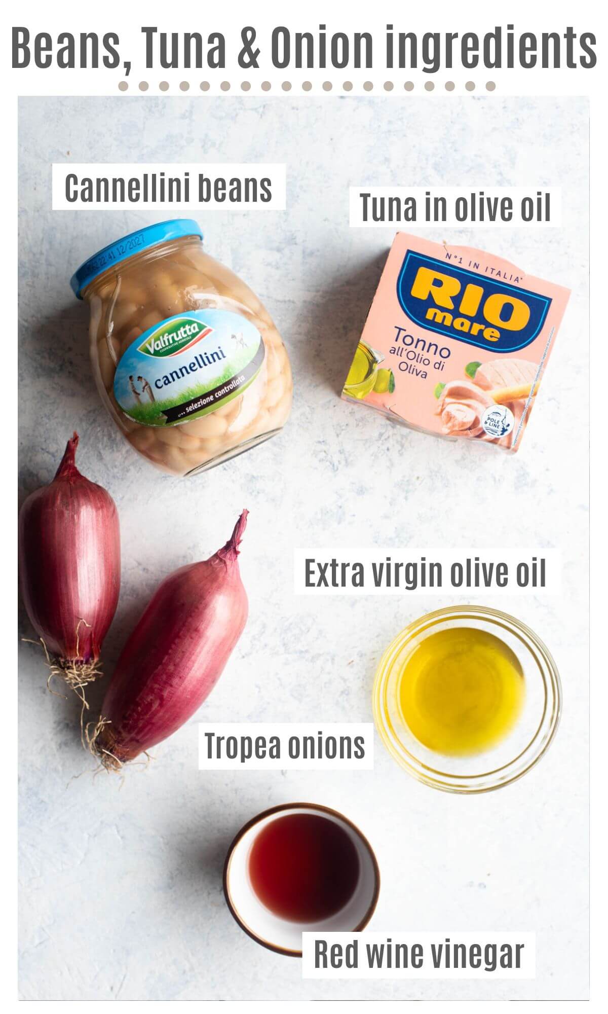 An overhead shot of all the ingredients you need to make Cannellini bean salad with tuna and onions.