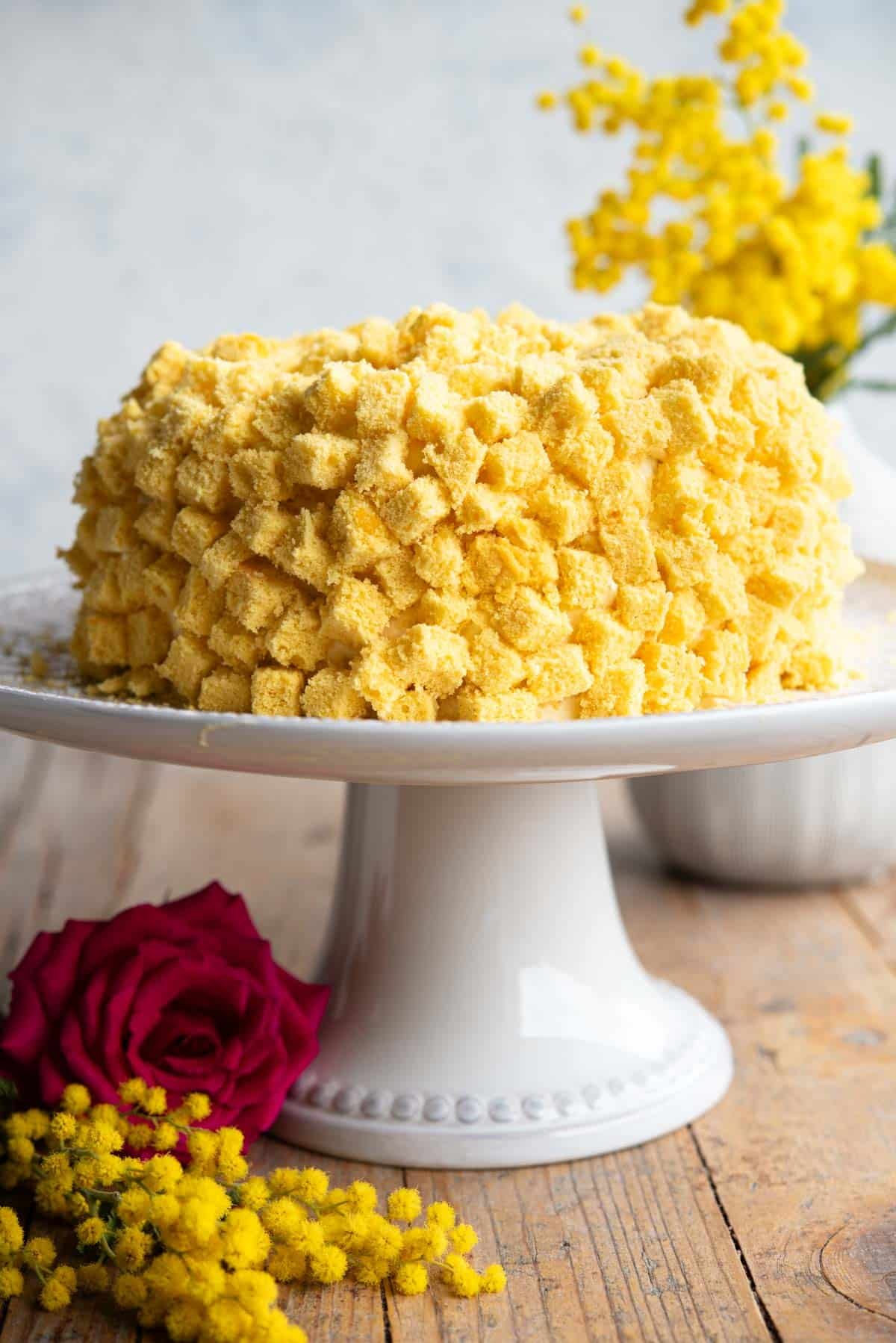 A mimosa cake on a cake stand with mimosa flowers in the background.