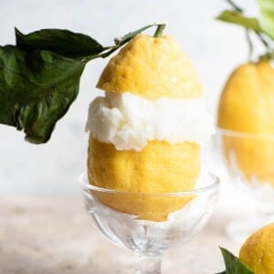 A cropped close up of an Amalfi lemon cut in half and stuffed with lemon sorbet.