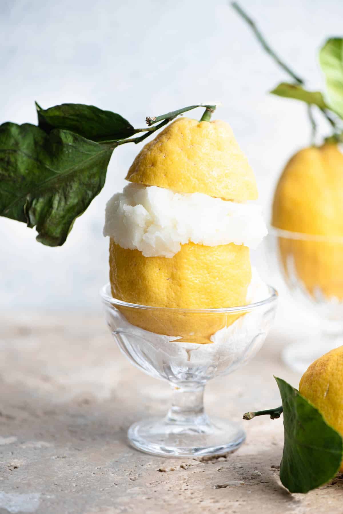 Italian lemon sorbet served in a large Amalfi lemon with leaves attached.