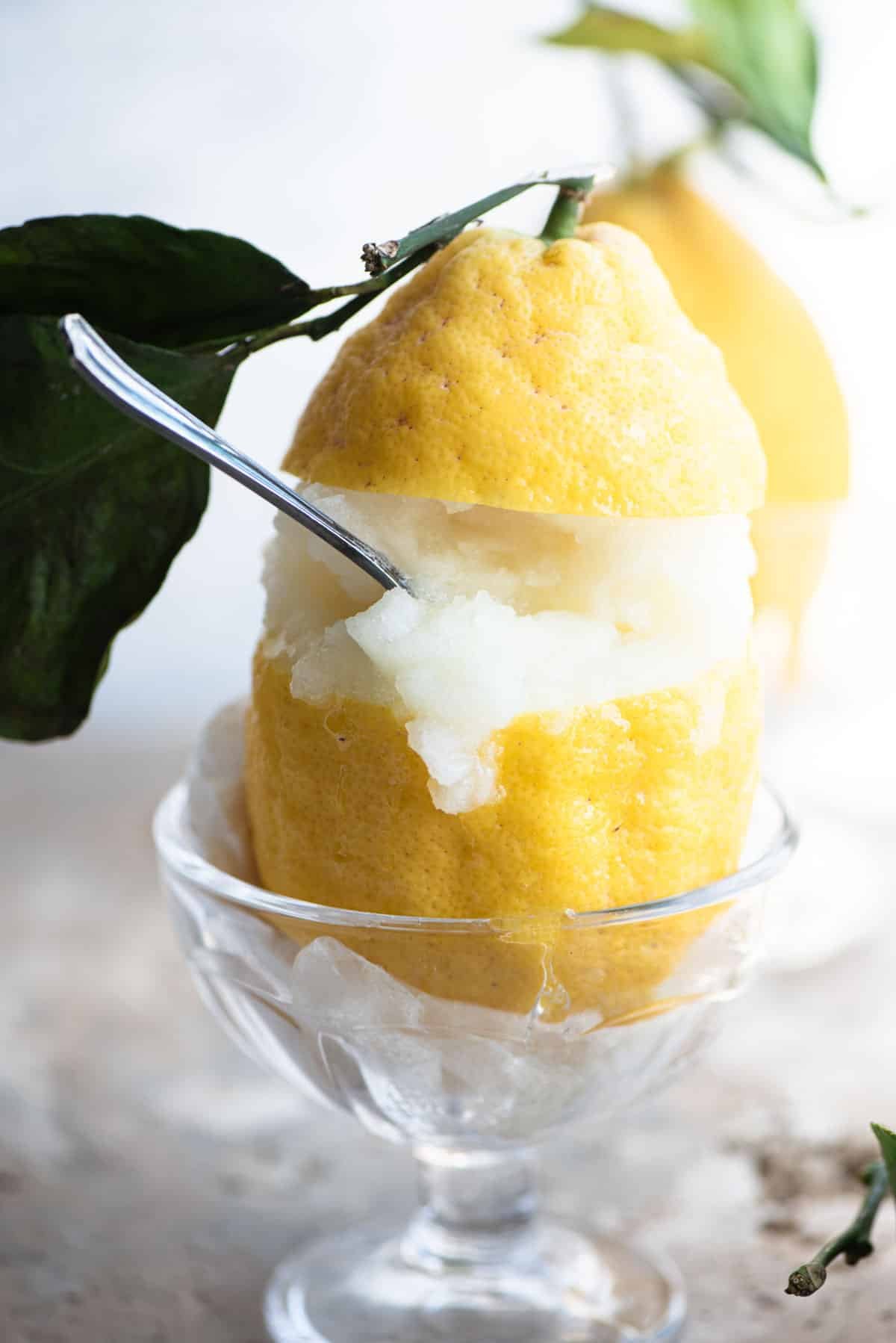 A close up of an Amalfi lemon stuffed with lemon sorbet and a spoon stuck inside.