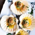A close up cropped image of scallops in their shells with parsley butter.