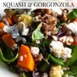 A pinterest graphic showing a close up of a butternut squash and gorgonzola salad. The text overlay reads: Delicious Fall Salad - Squash and Gorgonzola.