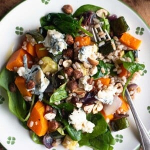 An overhead close up of a butternut squash and farro salad.
