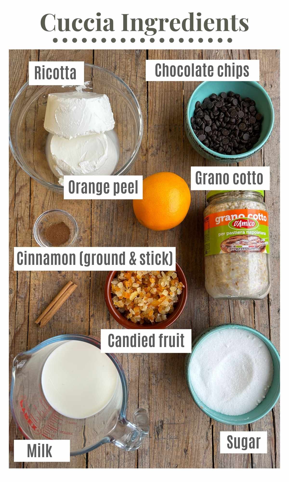 An overhead shot of all the ingredients needed to make Cuccia.