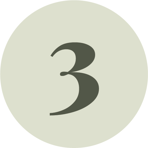 Step 3 icon