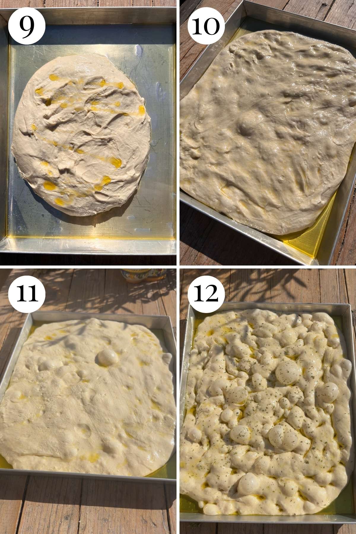 Four photos in a collage showing focaccia dough in a tray before and after proofing.