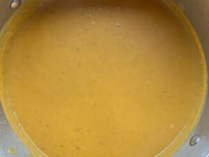One photo showing a close up of a smooth pureed soup.