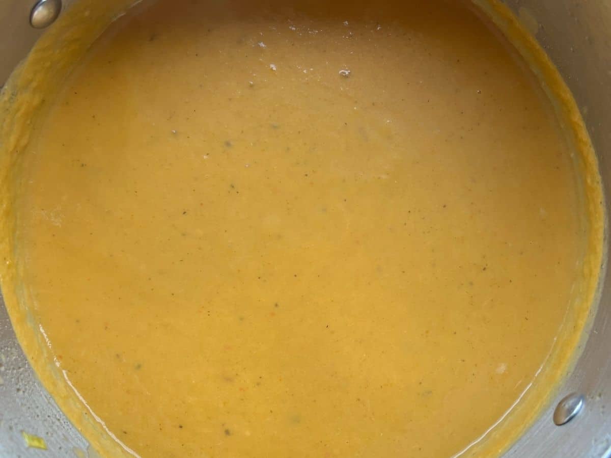 One photo showing a close up of a smooth pureed soup.