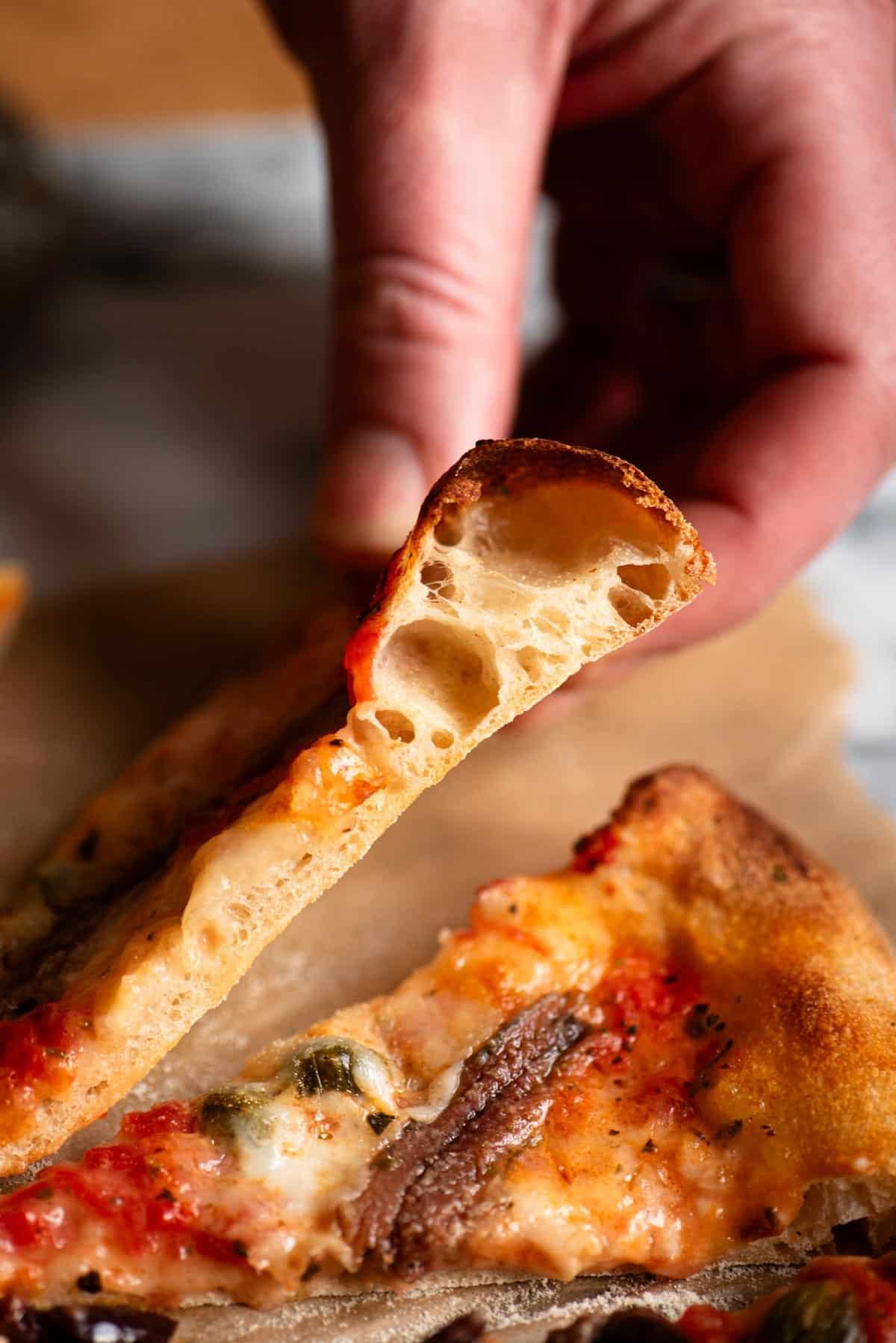 A close up of the inside of a cooked pizza showing the airy crust.