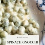Close-up of mini spinach gnocchi shaped into small balls covered in a creamy cheese sauce with black pepper, with text overlay that says “Spinach Gnocchi Parmigiano Sauce – Get the Recipe.”