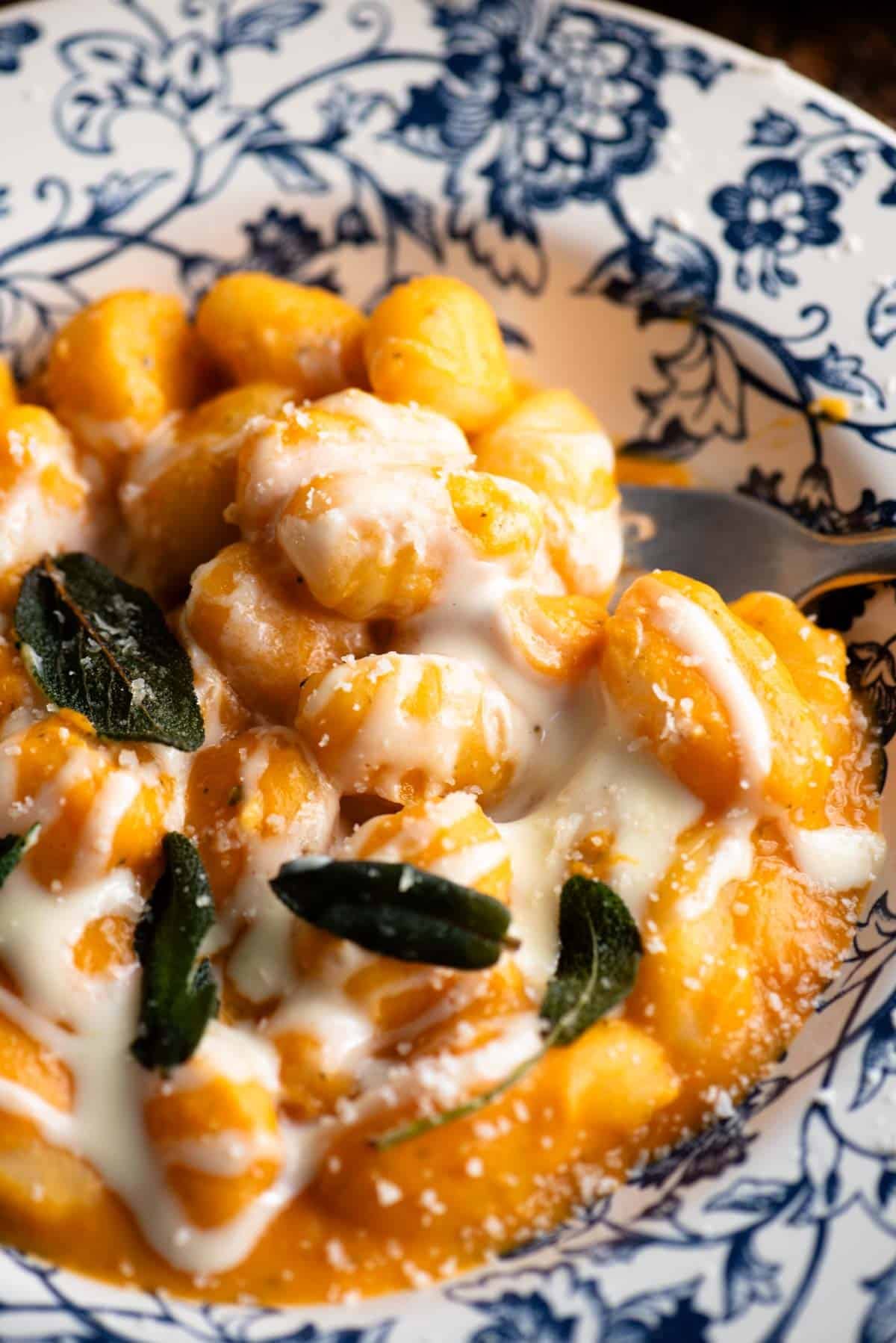 A close up of creamy butternut squash gnocchi with a taleggio sauce on top.